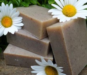 Organic Soap